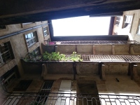 Vignette 02++Vieux Lyon.jpeg 