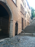 Vignette 12++Vieux Lyon.jpeg 